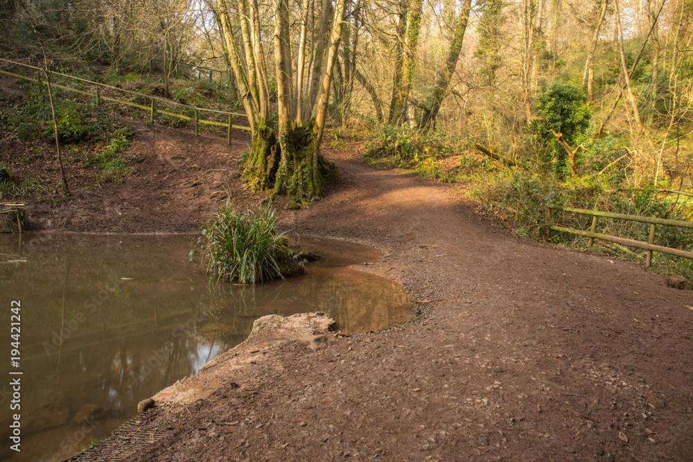 Peaceful Woodland Retreat Near Clifton, Bristol Villa Bagian luar foto